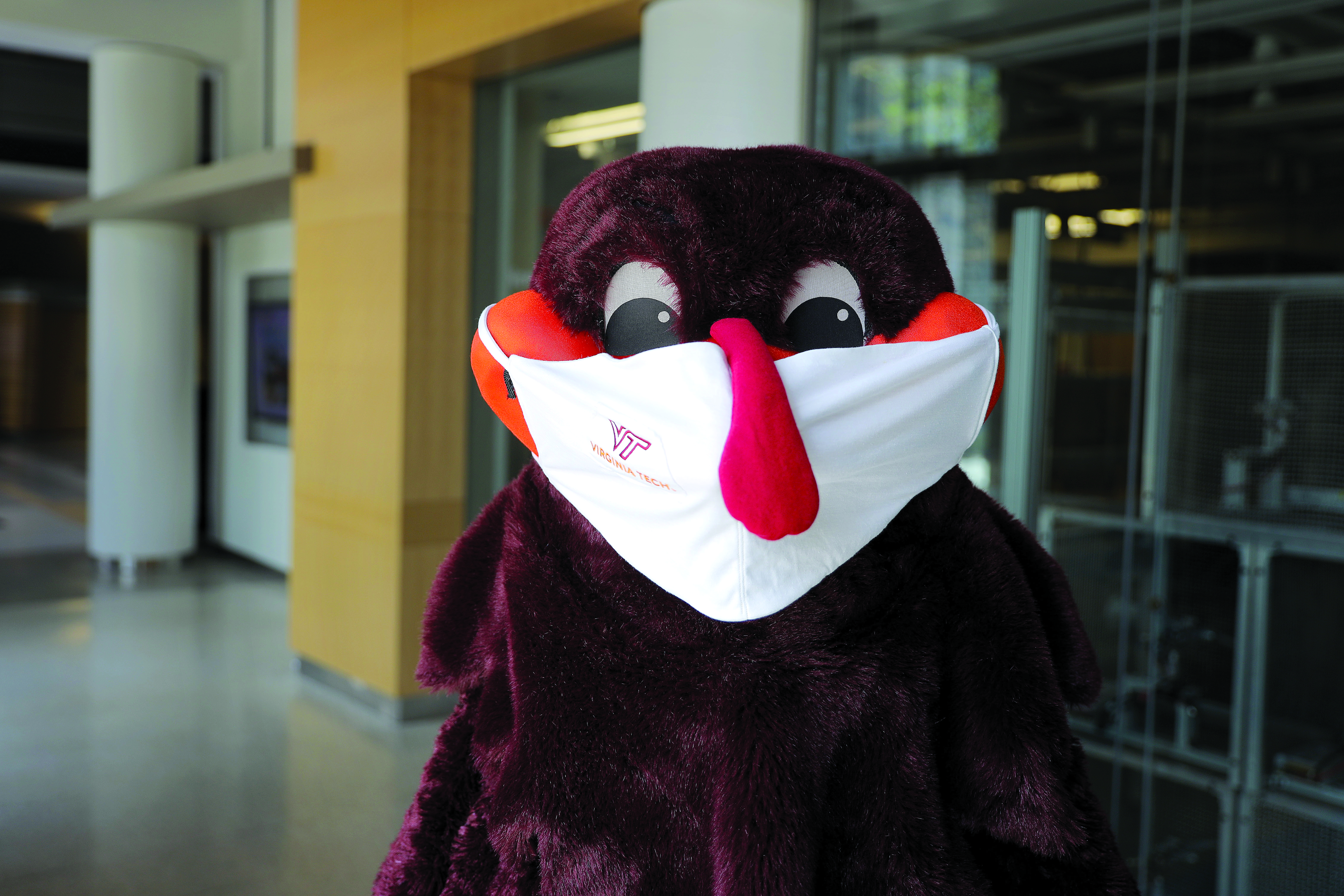 Hokie Bird wearing mask